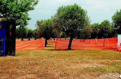 Rogo pneumatici e pietre
 su strada, bloccati mezzi Tap