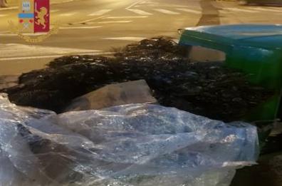 Taranto, cozze avariate pronte a finire sulla tavola di Capodanno: scatta il sequestro