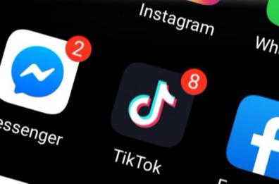 Nascondono 100 kg di botti e li vendono su TikTok, due denunce a Brindisi