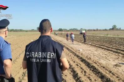 Lecce, false assunzioni di 53 braccianti agricoli per percepire indennità: scoperta truffa da 150mila euro