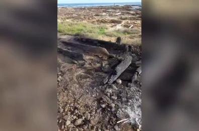 Punta del Serrone: incendio divampa a Natale e distrugge un ponticello VIDEO