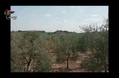 Assalti a portavalori, rapine a caveau, ricettazione: sequestrati terreni e ville per 1,3 mln a pregiudicato Fratepietro