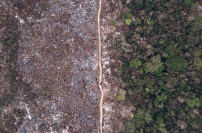 Brasile, deforestazione Amazzonia +4% in 12 mesi