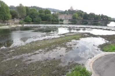 Il Po a Torino tra siccita' e alghe