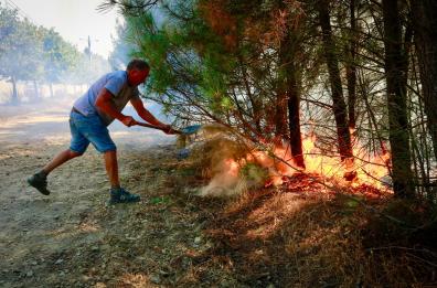 Emergenza incendi, tre morti in Portogallo