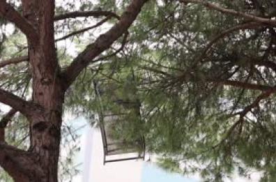 Maltempo sulla Riviera Romagnola, lettini "volati" sugli alberi a Rimini