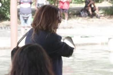 Venezia, l'arrivo di Julia Roberts e il cast di "After the Hunt" al Lido