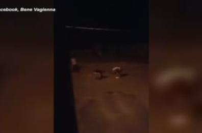 Ragazzi scagliano sassi contro un lampione nel Cuneese