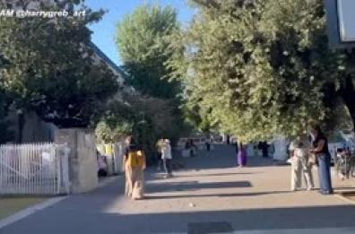 "School boy", l'ultimo lavoro di Harry Greb per i bimbi di Gaza