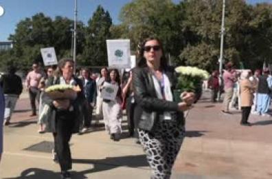 A Ginevra 370 Rose bianche per i caduti dell'Onu a Gaza