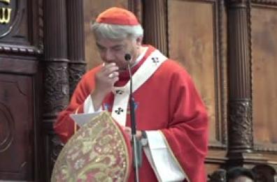 Cardinale Napoli: "Sangue bambini Gaza vicino San Gennaro"
