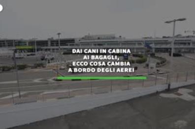 Dai cani in cabina ai bagagli, le novita' sugli aerei