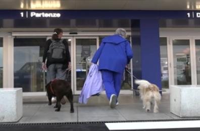 Con Ita il primo volo pet-friendly: "Italia prima in Europa"