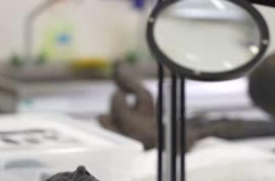 A Grosseto, visite aperte al laboratorio di restauro dei Bronzi di San Casciano