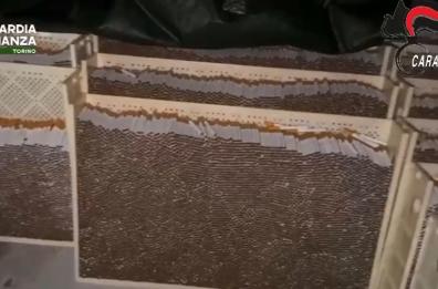 Finanza e Carabinieri sequestrano 250 tonnellate di tabacchi