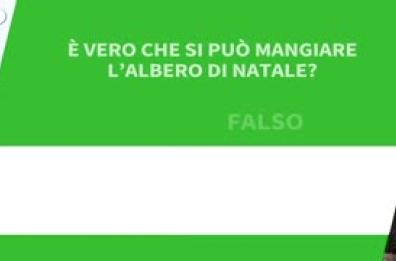 Ansa VERIFIED - E' vero che si puo' mangiare l'Albero di Natale?