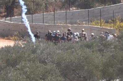 Cisgiordania, l'Esercito israeliano disperde un gruppo di agricoltori e attivisti