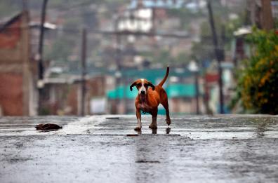 Oltre 20 morti ad Haiti per l'uragano Melissa Oltre 20 morti ad Haiti per l'uragano Melissa
