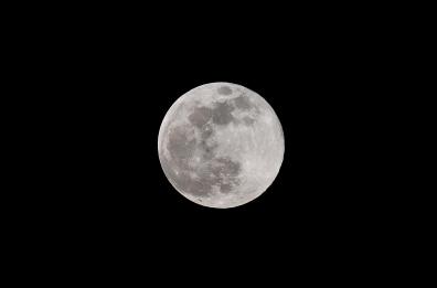 Il 5 novembre arriva la Superluna: è la più grande del 2025. Si potrà ammirare anche in Puglia e in Basilicata Il 5 novembre arriva la Superluna: è la più grande del 2025. Si potrà ammirare anche in Puglia e in Basilicata