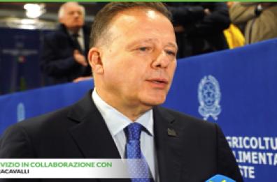 Verona, inaugurata la 127esima edizione di Fieracavalli Verona, inaugurata la 127esima edizione di Fieracavalli