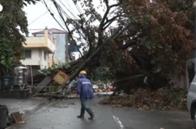 Il super tifone Fung-Wong colpisce le Filippine, alberi sradicati e lampioni abbattuti