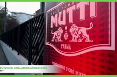 Mutti, 9 milioni di incentivi ai produttori di pomodoro Mutti, 9 milioni di incentivi ai produttori di pomodoro