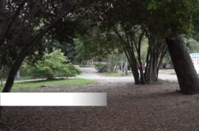 Roma, ville storiche senza custodi, protestano i cittadini Roma, ville storiche senza custodi, protestano i cittadini