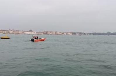 Il delfino di Venezia allontanato dal bacino di San Marco