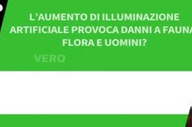 Ansa VERIFIED - L'aumento di illuminazione artificiale provoca danni a fauna, flora e uomini? Ansa VERIFIED - L'aumento di illuminazione artificiale provoca danni a fauna, flora e uomini?