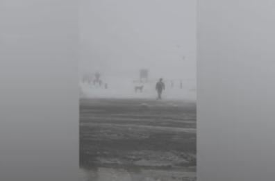 Camper abbandonato da giorni sul Gran Sasso, si cerca un 44enne Camper abbandonato da giorni sul Gran Sasso, si cerca un 44enne