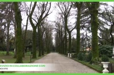 Viaggio nel Parco internazionale di scultura di Mestre