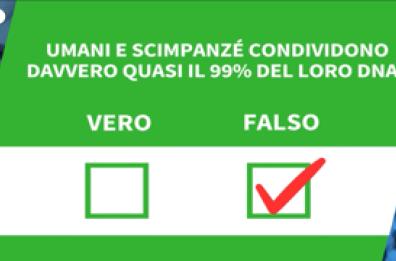 Ansa VERIFIED - Umani e scimpanze' condividono davvero quasi il 99% del loro Dna?