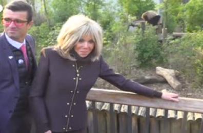 Cina, la First Lady francese visita l'allevamento di panda giganti Cina, la First Lady francese visita l'allevamento di panda giganti