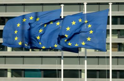 Ue, Reich? Anche parole folli sono libertà espressione