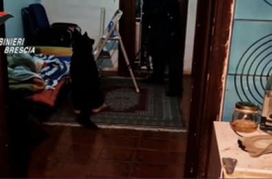 Arresti e perquisizioni nel Bresciano, sgominata una gang di minorenni Arresti e perquisizioni nel Bresciano, sgominata una gang di minorenni