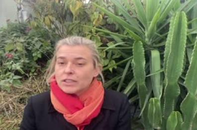 La seconda vita di Punto, un cane che ha fatto la differenza