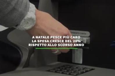 A Natale pesce piu' caro, la spesa cresce del 20% rispetto al 2024