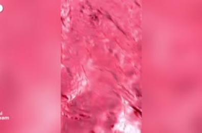 La "pioggia di sangue" tinge la spiaggia dell'isola iraniana di Hormoz