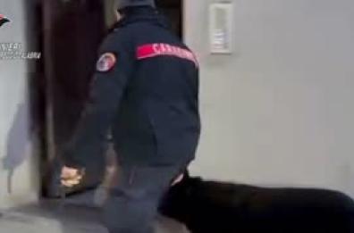 Sequestrata nel Reggino una tonnellata di botti illegali