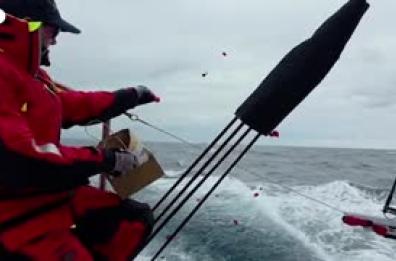 Petali in mare, l'omaggio alle vittime di Bondi beach alla Sydney-Hobart