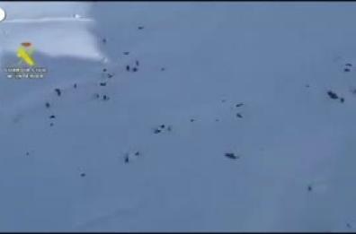 Tre morti in una valanga sui Pirenei spagnoli Tre morti in una valanga sui Pirenei spagnoli