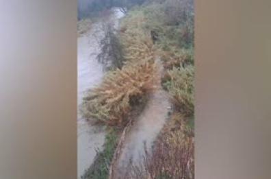 Il maltempo non da' tregua, a Roma esonda il fiume Aniene nel quartiere Tiburtino