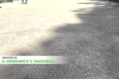 "Sull'Adhd mancano le linee guida, disturbo sottovalutato"