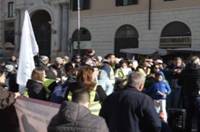 Roma, caregiver in piazza contro il ddl Locatelli: "Un'elemosina"