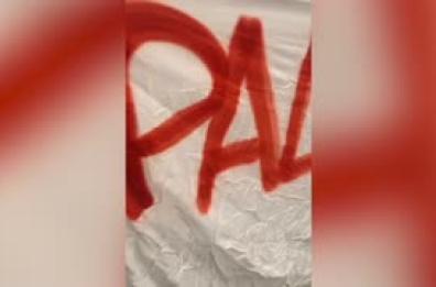 "Palazzo Nuovo occupato", lo striscione dei collettivi studenteschi torinesi