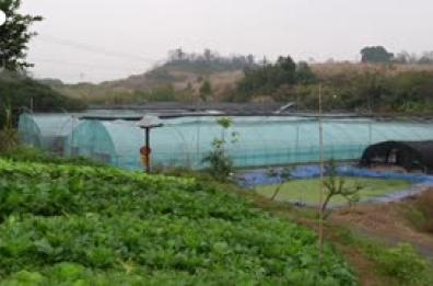 Cina, tetraplegico gestisce fattoria high-tech con sensori e computer