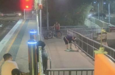 Sydney, serpente "blocca" l'accesso di una stazione. Poi arriva un giovane pratico...