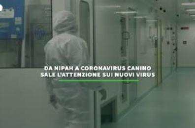 Sale l'attenzione sui nuovi virus, l'ultimo allarme e' per il virus Nipah