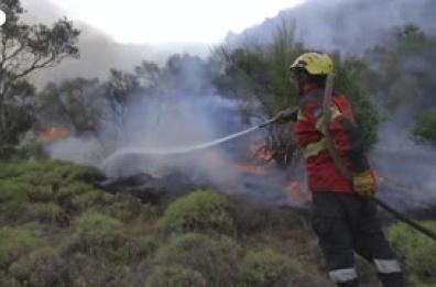 Brucia la Patagonia argentina, divorati dalle fiamme oltre 60mila ettari