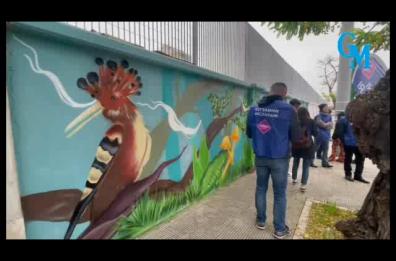 Giornata mondiale del suolo, inaugurato a Bari murale sulla biodiversità